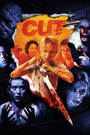 Cut (2000) Hindi Dual Audio 720p BluRay [1.1GB]