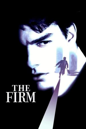 The Firm (1993) Hindi Dual Audio 720p BluRay [980MB]